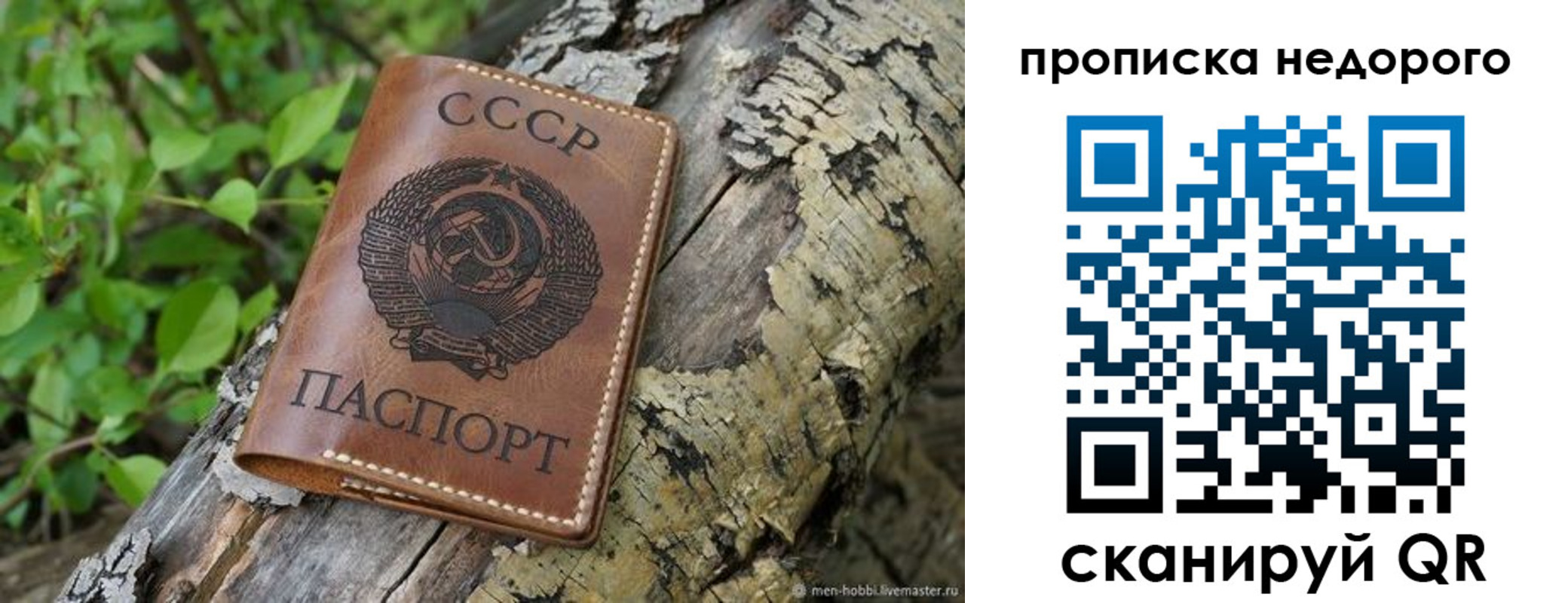 где прописаться в Тихвине